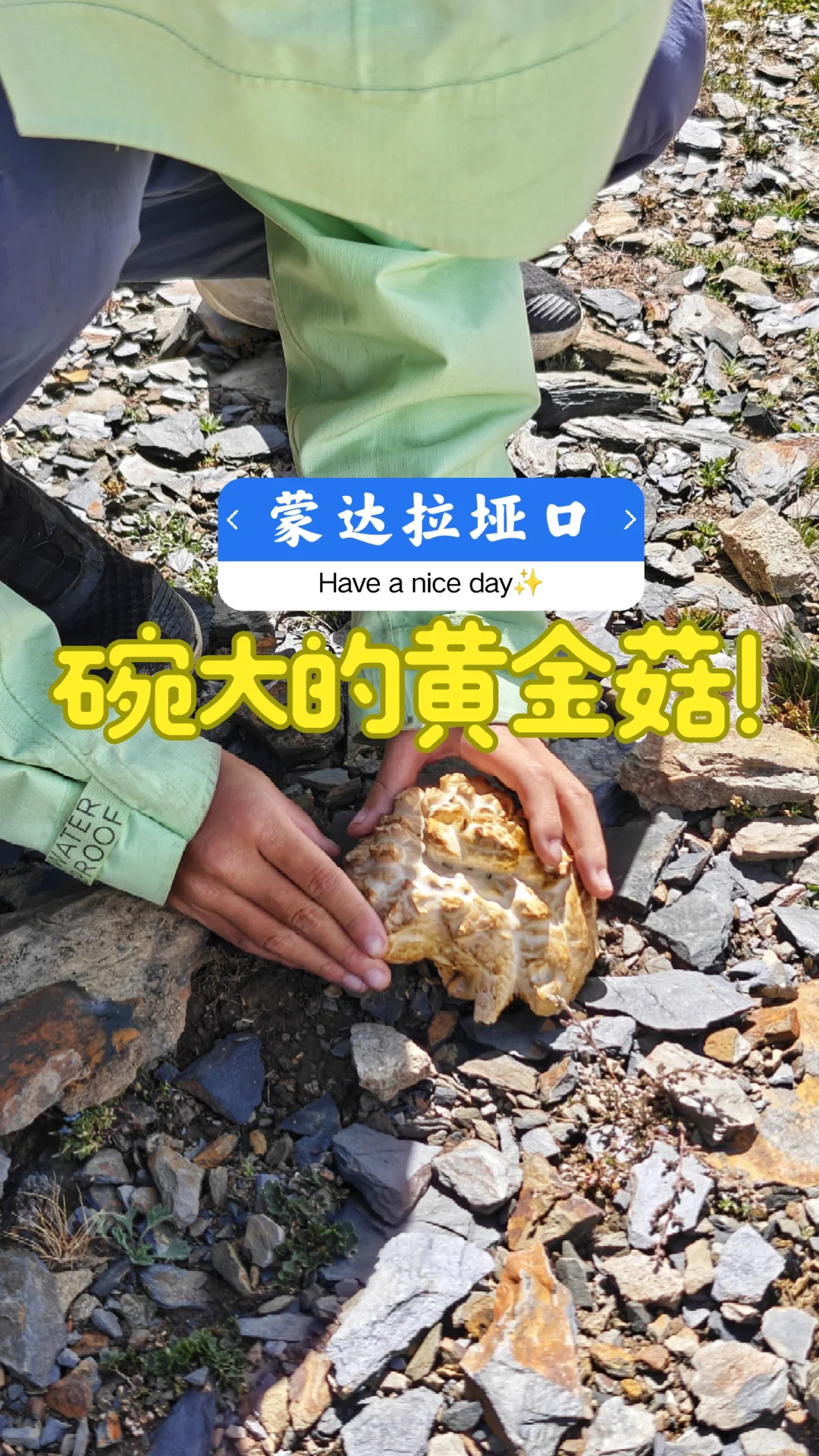 西藏游记|海拔5300黄金菇和库拉岗日都绝了