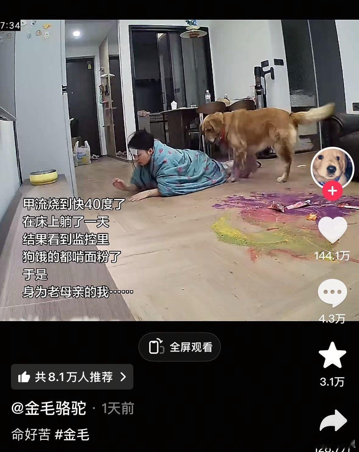 女生甲流高烧狗狗饿得啃面粉甲流症状不好受，但至于用爬的吗。上厕所怎么办，爬去上厕