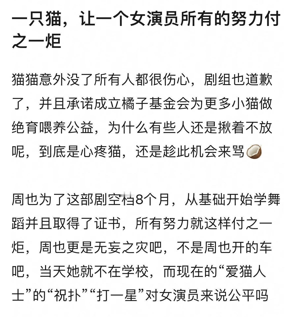 疑似周也粉丝在倒油❗️小猫只是失去了生命，而她失去的可是辛苦考的入门证书啊…​