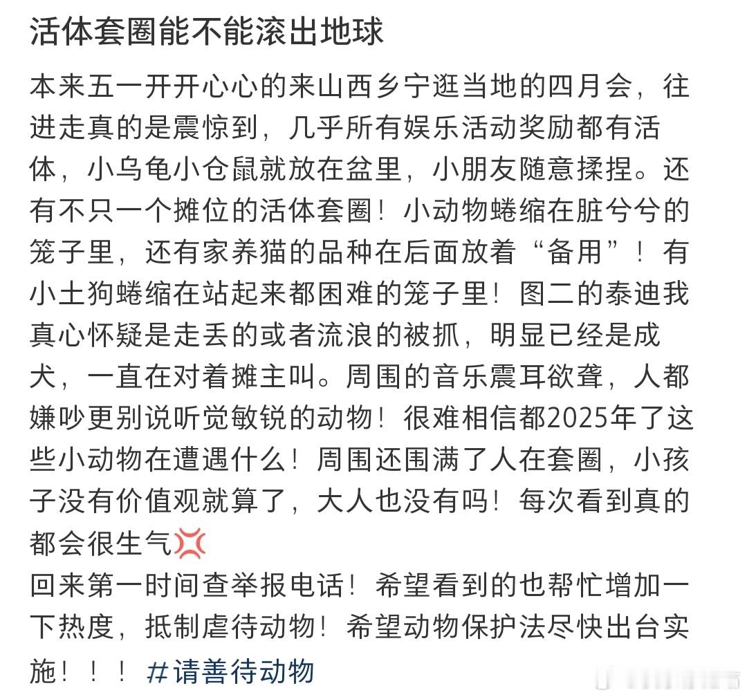 活体套圈能不能滚出地球​​​