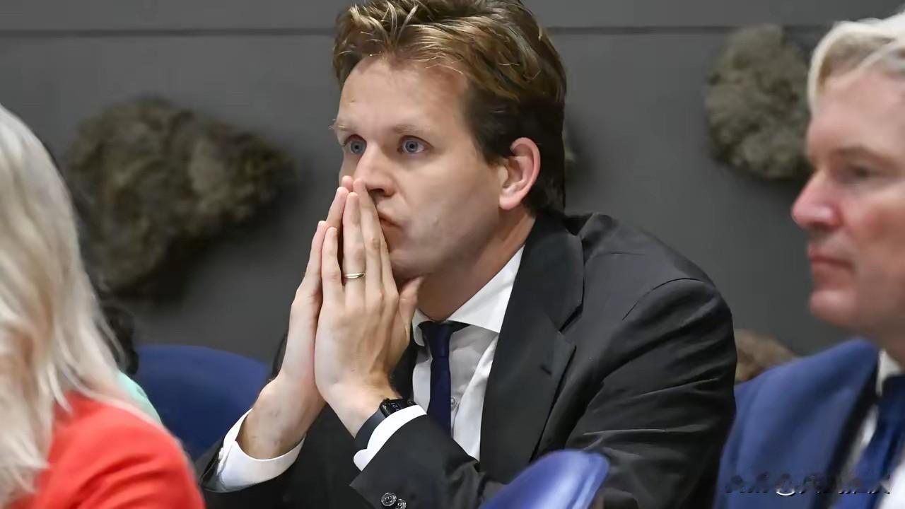 12月17日，中方终于出手了，荷兰没收中企股份尝到后果！中方直接出措施，荷兰