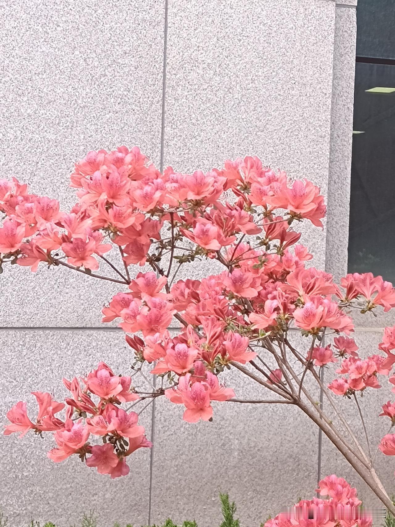 什么叫人情世故朋友请你吃饭，你想带瓶酒过去，朋友说“不用带东西，人来就行”。低