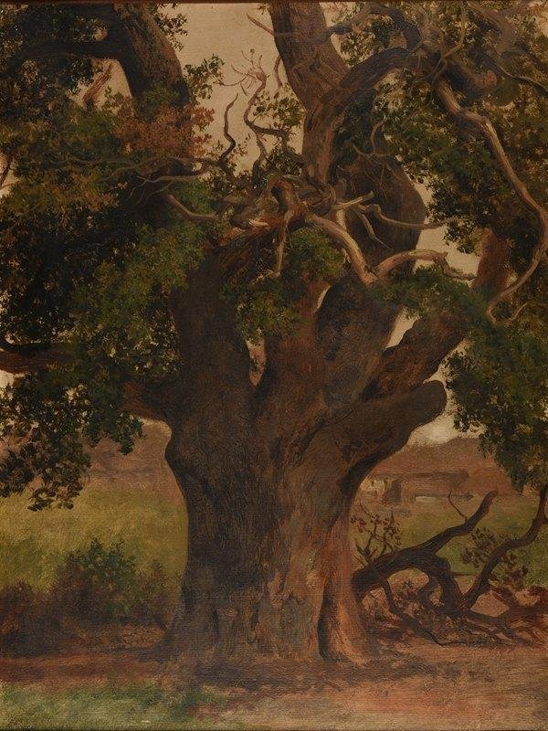 法国画家雅克·雷蒙德·布拉卡萨特的风景油画作品欣赏风景绘画遇见美好​​​