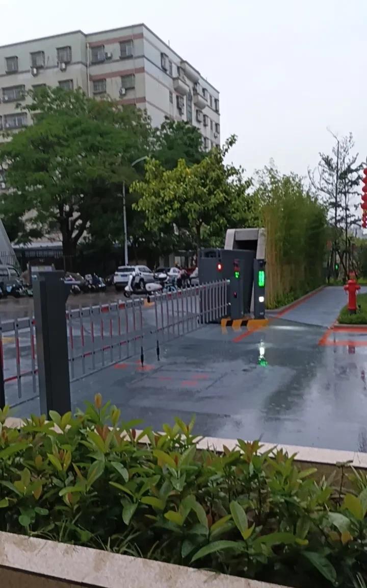 内心心狠手辣的三大生肖生肖和性格有没有关系，这事儿挺玄乎的。就说鼠年生的人吧，