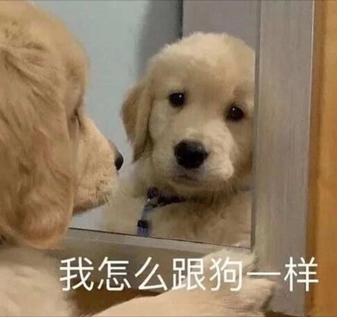 搞笑表情包分享。