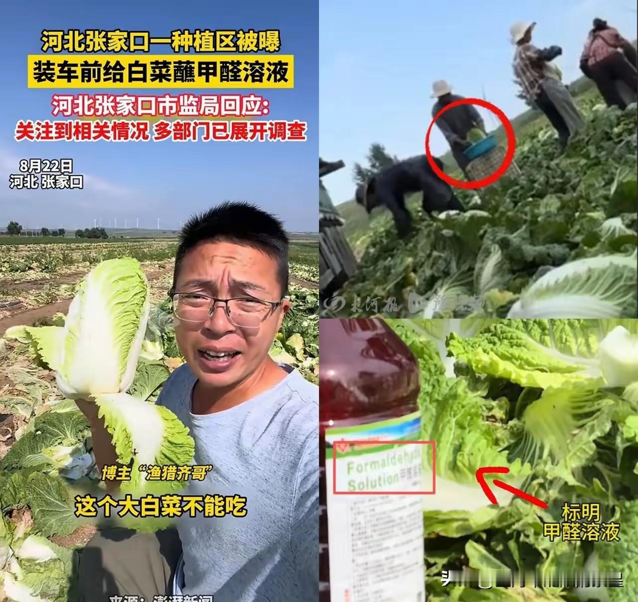 真是丧尽天良！博主“渔猎齐哥”边直播，边把镜头对准正在干活的农民。而在地里干