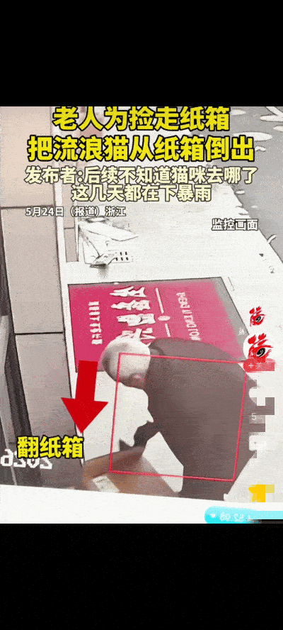 “吵翻了！”浙江一家店门口放着一个大纸箱，纸箱内住着流浪猫一家，但是一位拾垃圾的