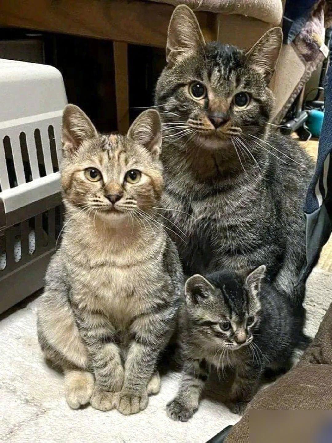 幸福美满的一家三口！