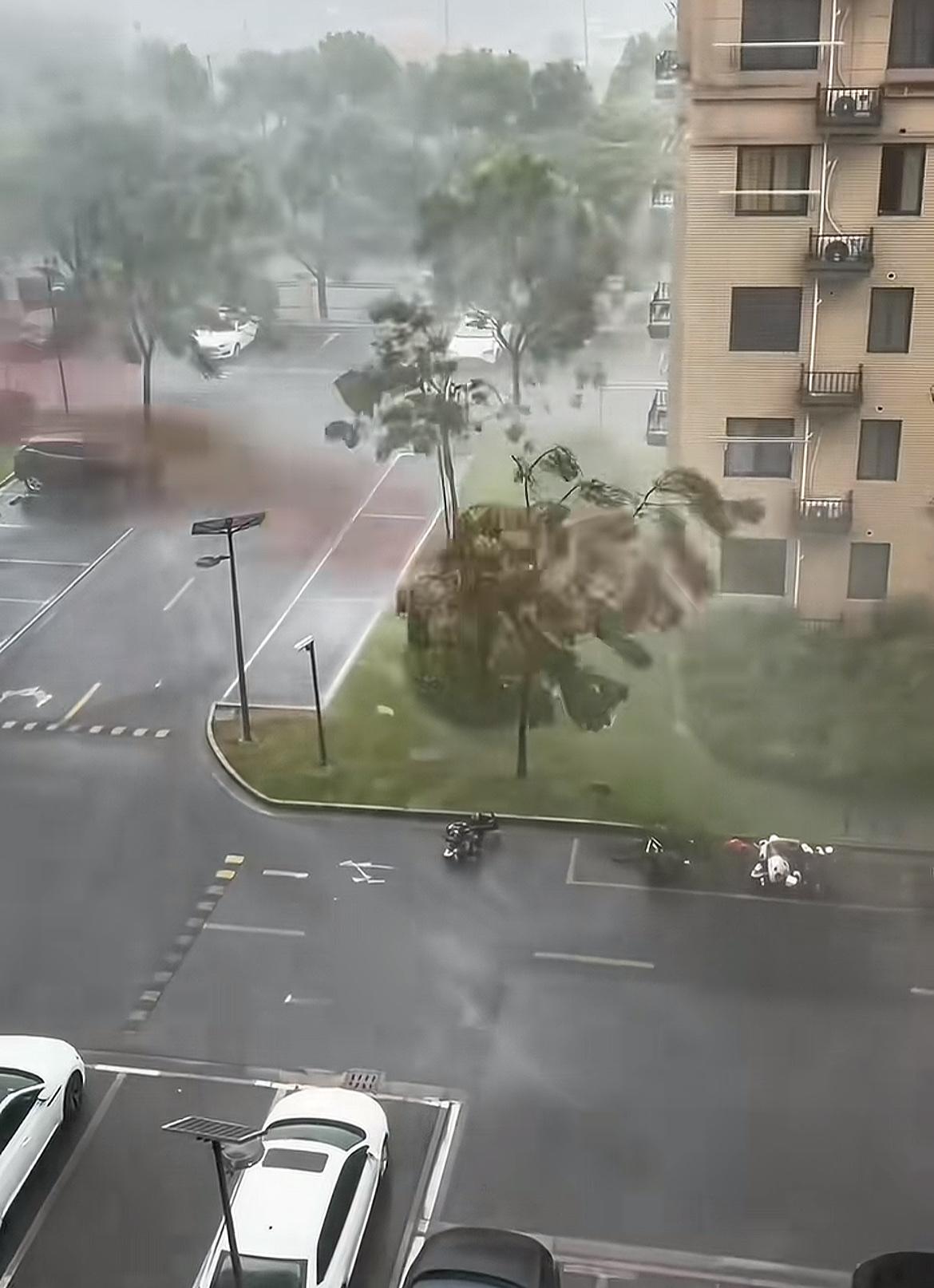 “你不仁别怪我不义！”深圳这公司操作真把人看傻了——台风天放假避险，转头就