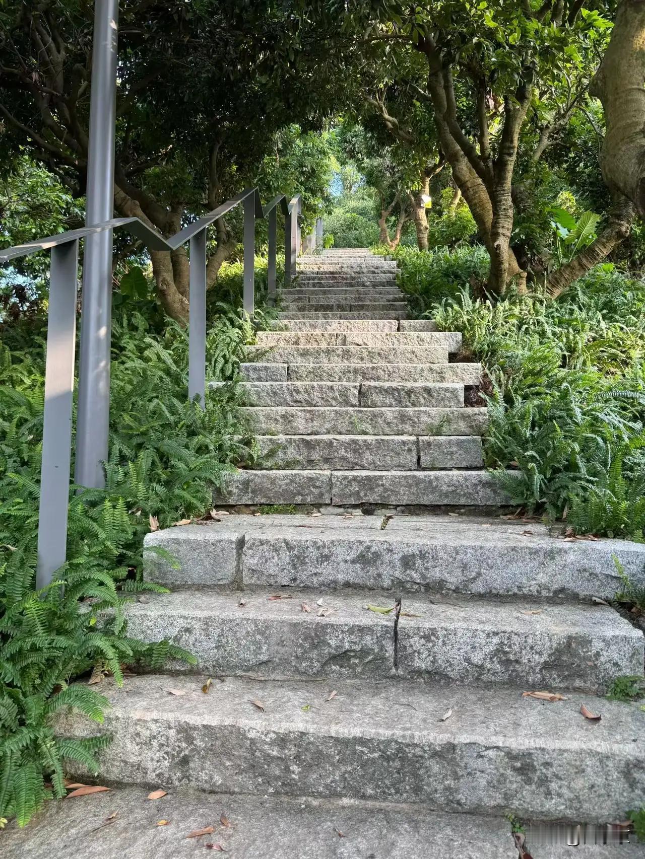 我们办公室有一男的,58岁快退休了,最近都愁白头了,33岁儿子不结婚,办公室闲聊