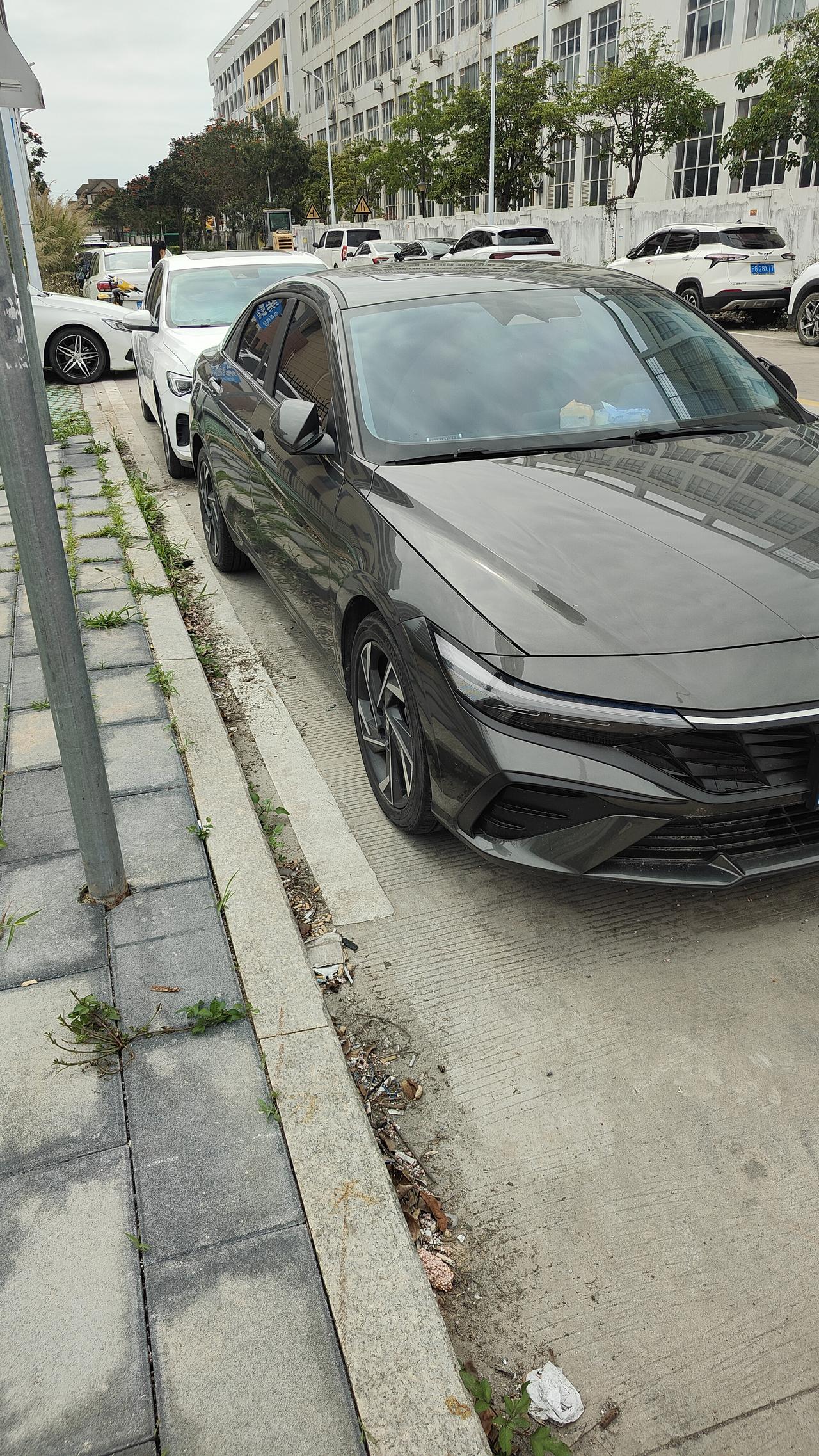 本田雅阁的机盖真的好长