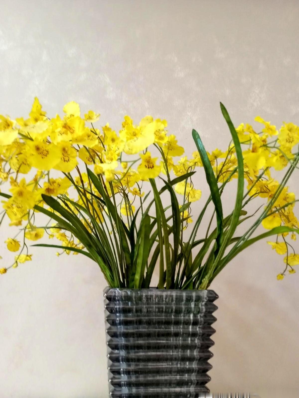 最可怕的，不是35岁还单着。是那种整个人，已经提前退休的状态。你懂吗？就是那种