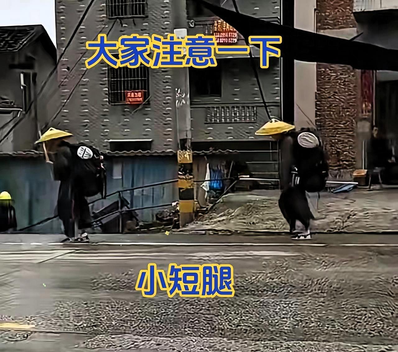 不要被表面所迷惑，已经快被渗透了，小短腿比我们精明多了，先报国安12339，特殊