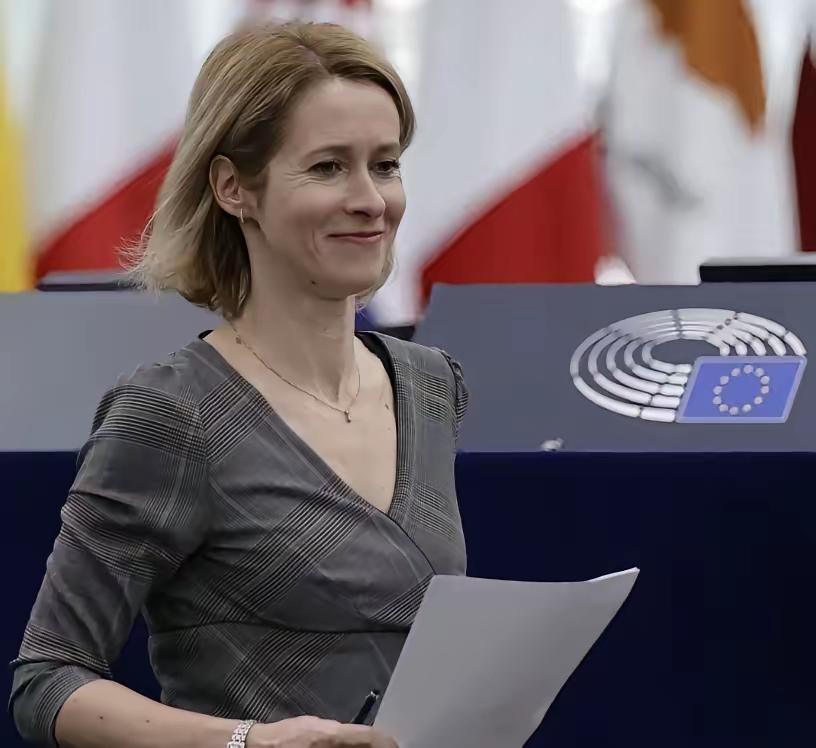 欧盟这波“变脸”堪称教科书级表演！前脚否定中国二战贡献，后脚突然致敬，表面致敬实