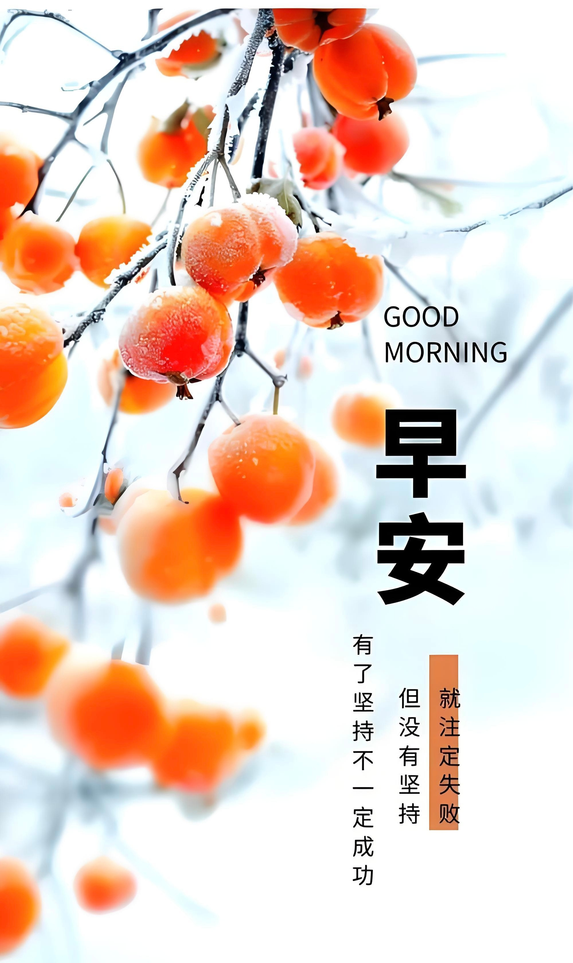 早安2026-1-29，腊月十一，星期四，晴🌤🌻🌻太感性，走不进柴米油