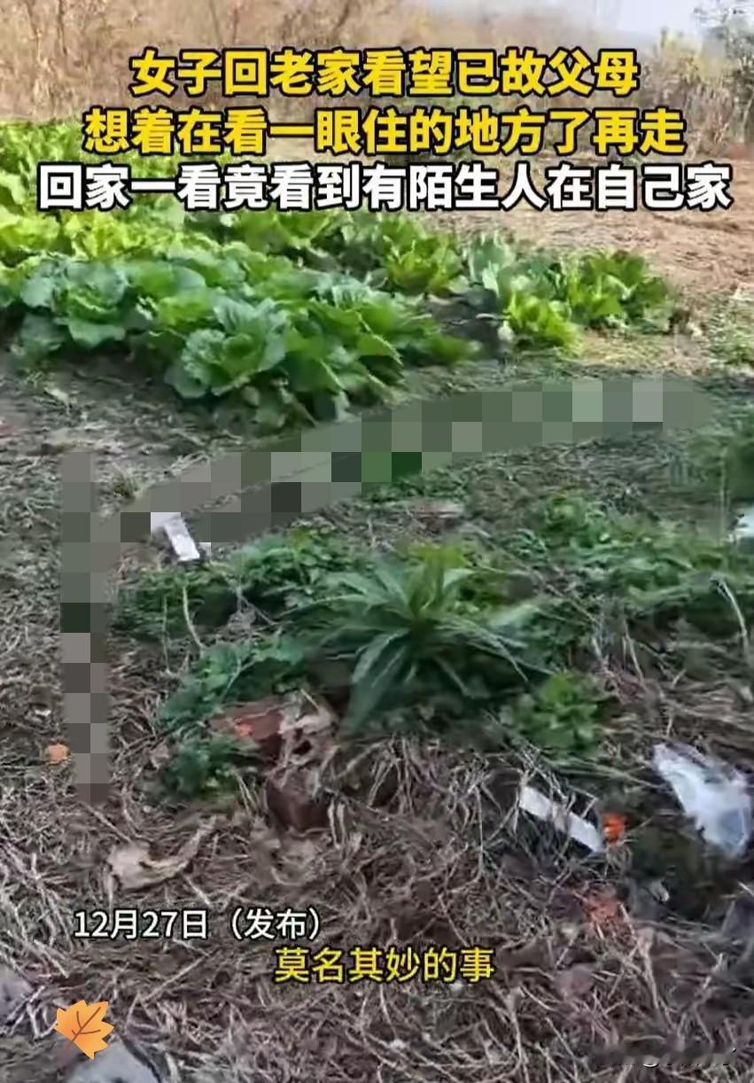 解释不清了！女子回老家给父母上坟，结果，却发现老家房子门开着，她以为是自己之前忘