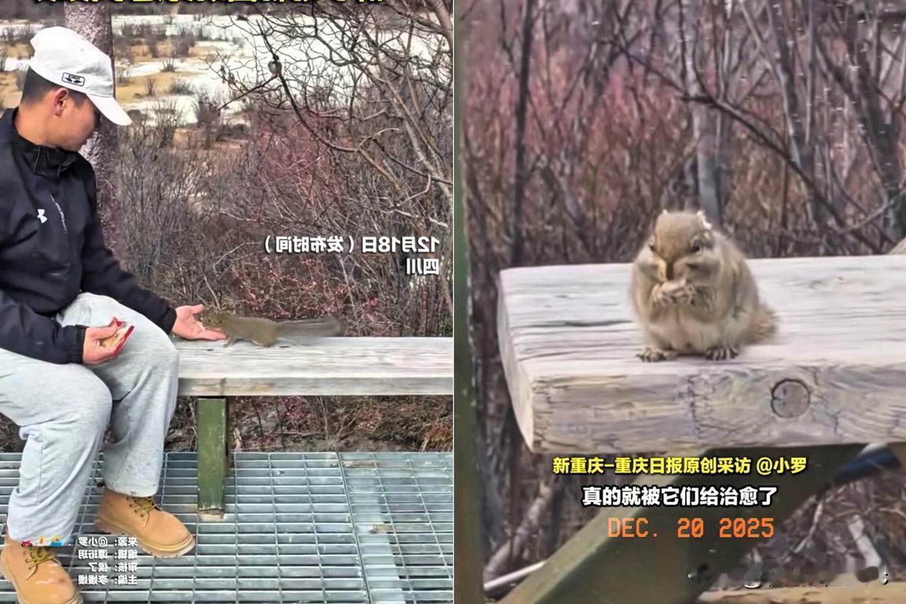 去四川稻城亚丁旅游的那哥们，这回真是有嘴也解释不清了，难道这人这个人自带善良之