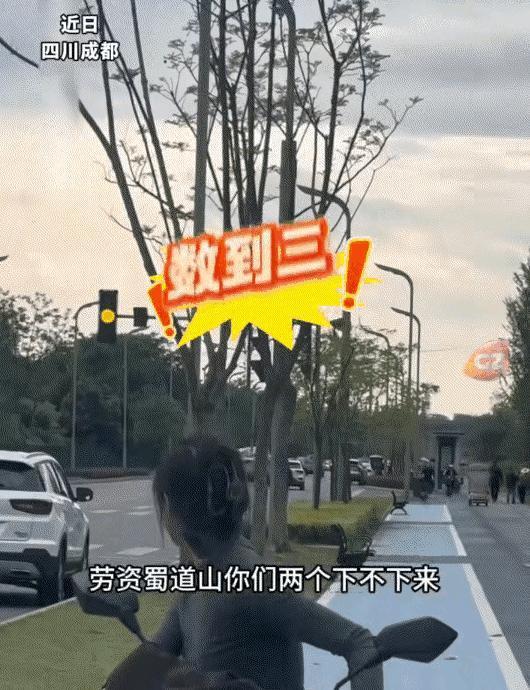 “笑不活了！”四川成都，一女子带自己养的两只鹦鹉出门放飞，不料回家时不管如何呼喊