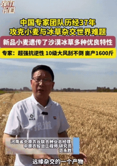 “这才是中国力量！”中国科学家用37年的死磕和坚持，一种叫“普冰03”的新品种小
