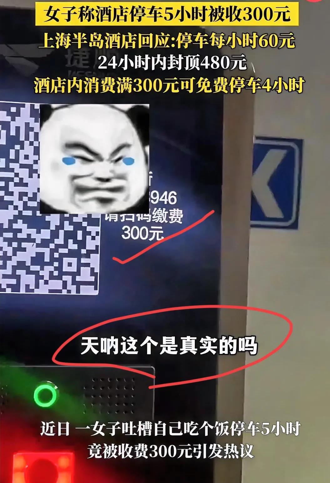 这下彻底出名了不仅上海，全国人民都知道了！一女子在上海半岛酒店吃个饭，车停地