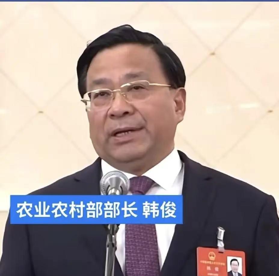等了整整31年，这层窗户纸总算被彻底捅破了。早年去乡镇做调研，目睹过太多荒诞