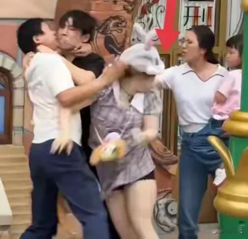 上海迪士尼互殴事件，最终伤害的是谁？上海迪士尼事件要说这两天网上最热的话题