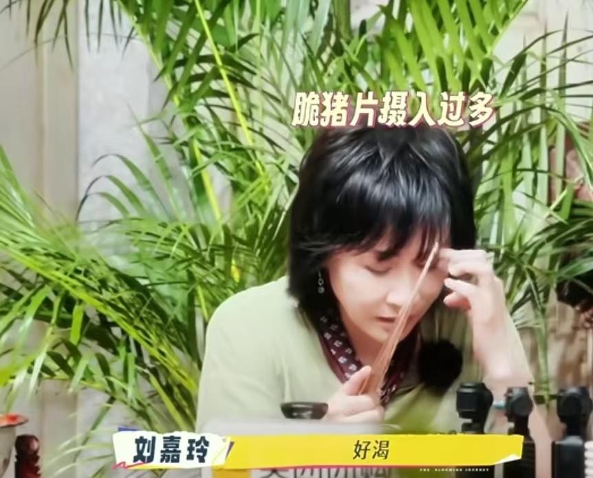 刘嘉玲说自己很渴，想喝冰水，刘晓庆立马行动帮她找冰水！刘晓庆：“有没有水”，刘