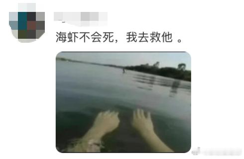 南部档案你还要虐我几集剧集南部档案我说够了够了🙉人怎么能惨成张海盐这样，自己