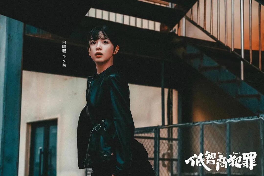 低智商犯罪笨贼兄弟演我穷人乍富低智商犯罪永远不要向牛舌低头《低智商犯罪》真的好上