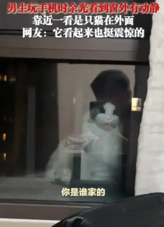 “防不胜防！”5月11日，江苏，一男子余光发现窗户外有个白色的身影，吓了一大跳，
