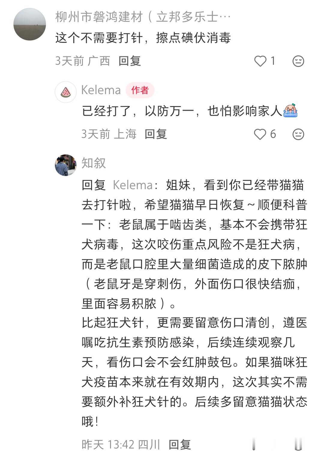 猫被老鼠咬了，需要打针吗[捂脸哭]​​​