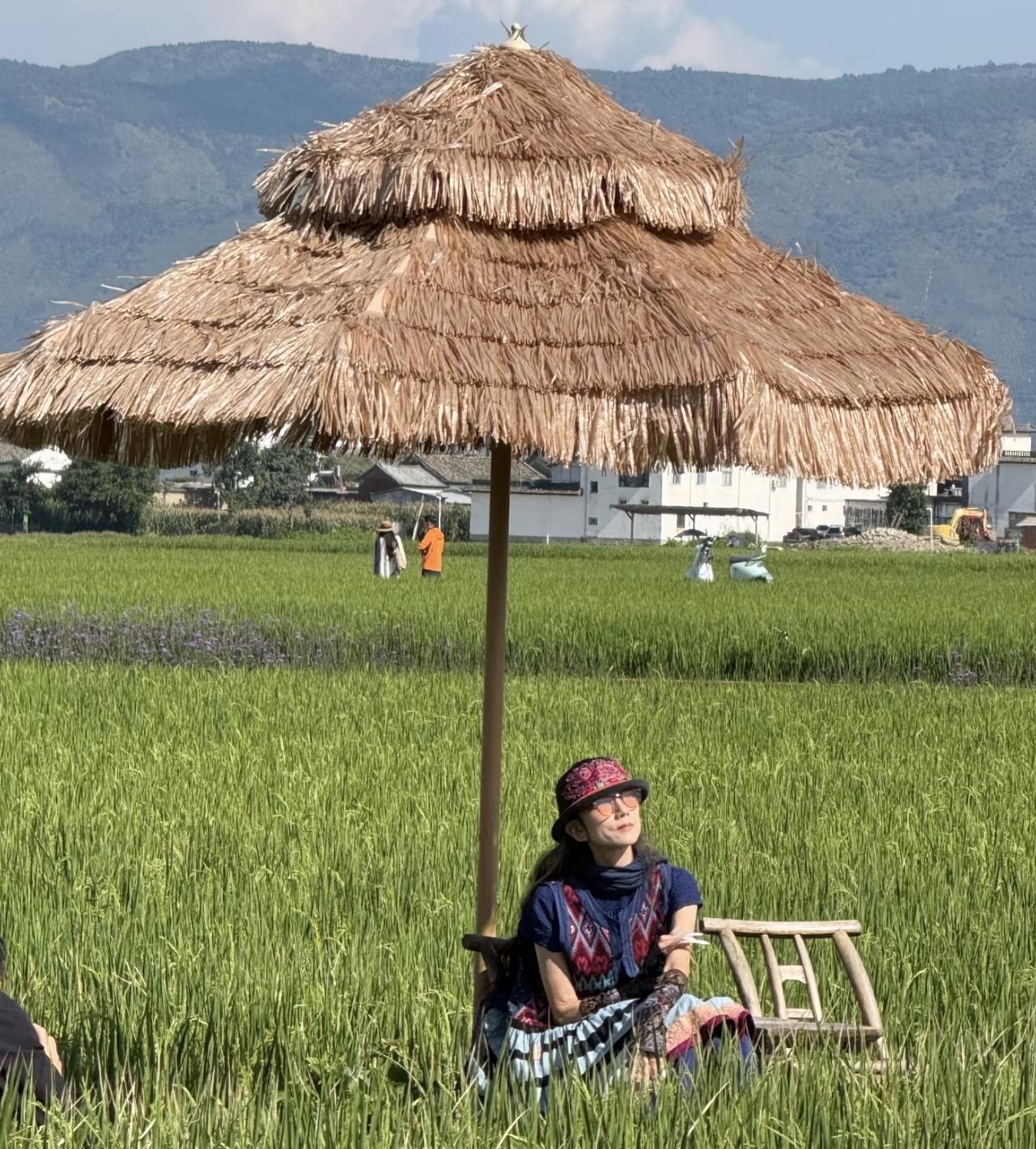 67岁杨丽萍在大理度假，独自坐在麦田里吹风，显得很孤独，难得见到她这样的一面。
