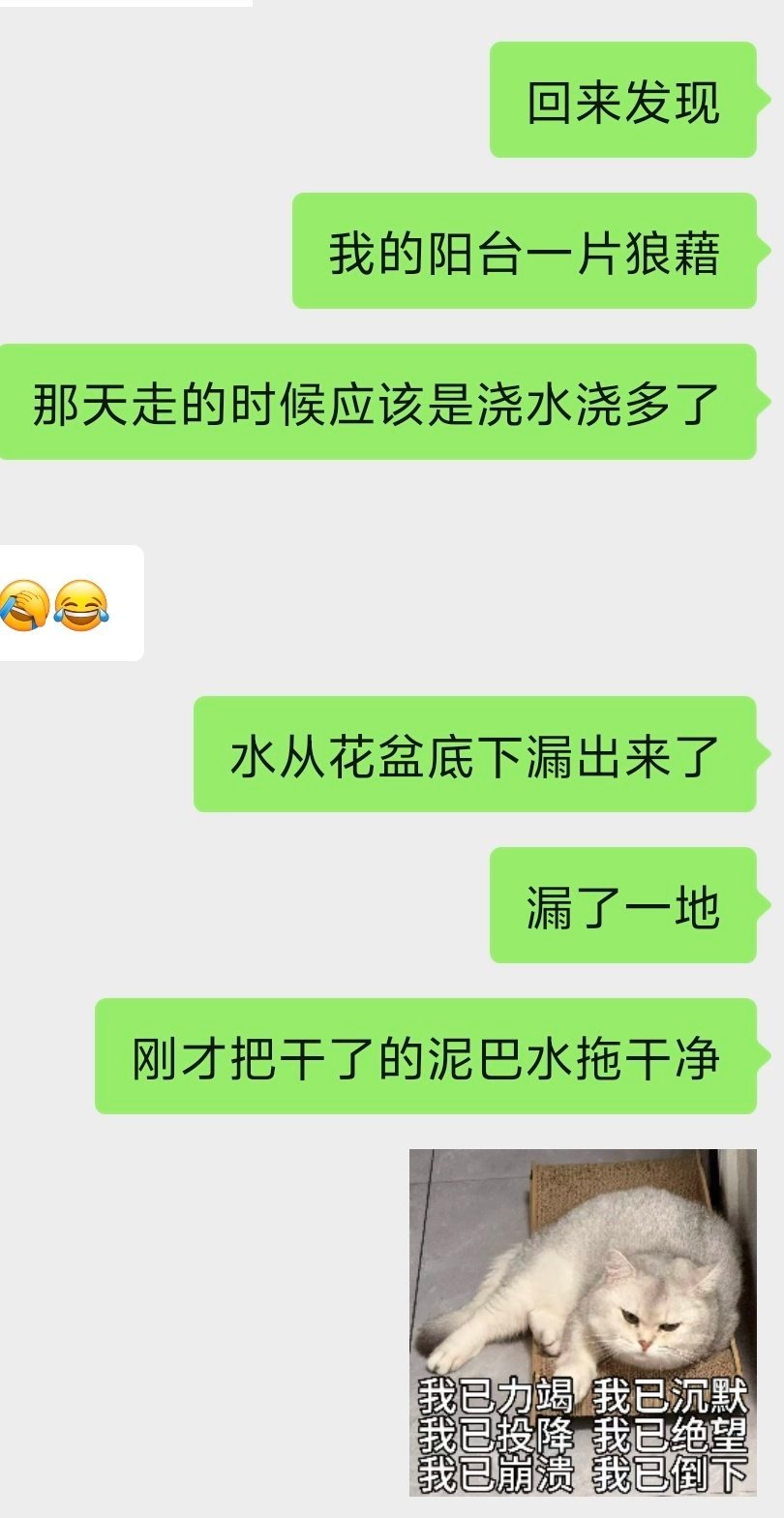下了高铁直接去跟朋友吃烧烤了回来想洗澡躺下了结果又开始命苦的拖地[淡淡