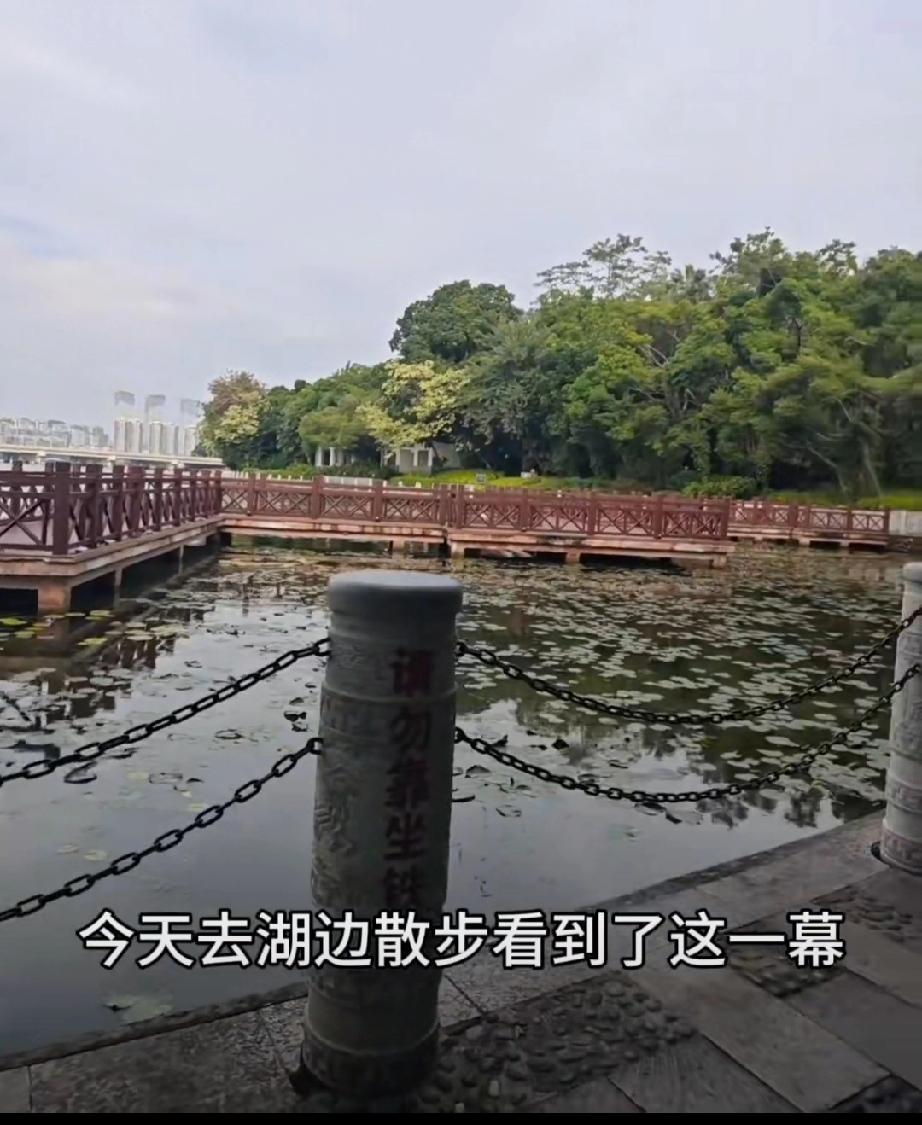 11月17日，网友发视频称领导要求阿姨将石缝里的水弄出来，环卫阿姨用抹布将公园石