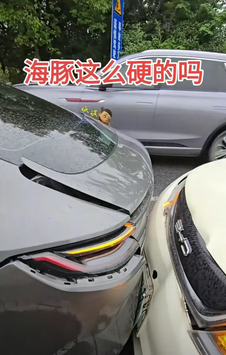 那些说比亚迪偷工减料的，出来走走，6万块人手一辆的海豚，前面能杠，后面也能杠，到
