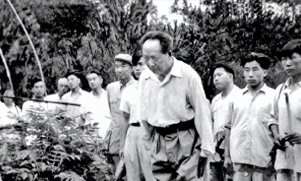 伟人站在父母坟前说：“就我一人来了。润莲死在新疆，润菊埋在江西，开慧死在长沙，泽