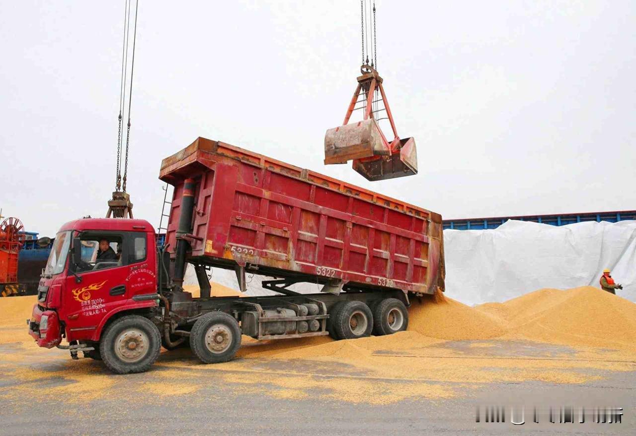 中国买美豆,特朗普松口,背后藏着什么棋?10月下旬,中国突然买了三批美国大豆