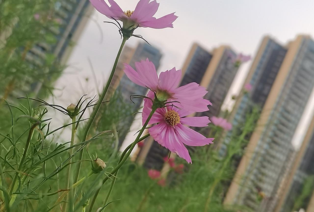 我姐的亲家母，一辈子没打过工，她老公搞室内装修，一天赚几百元，不够他花，不够他打