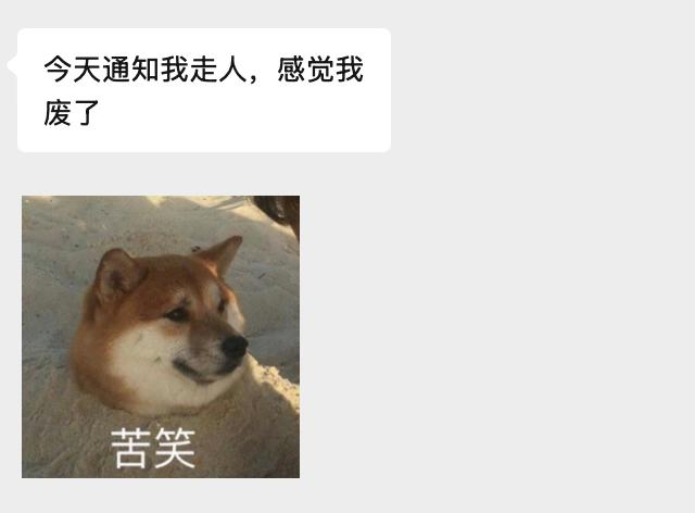 刚一个程序员群友被裁了，问有啥出路建议。其实程序员转行真没那么玄乎，身边就有