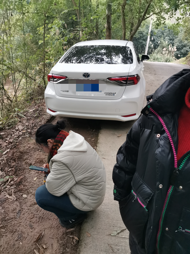 卡罗拉就这么不靠谱停了两天一夜，全车没电了。把我撂老家了。不可靠