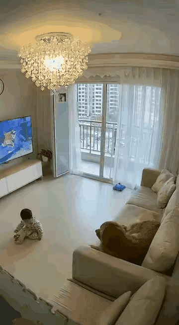 狗狗好样的，它的反应救了小主人，这天，一位小姐姐在厨房干活，而她的孩子坐在客厅的