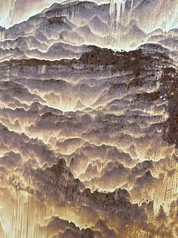 铁门锈了，锈出了一片锦绣山河！