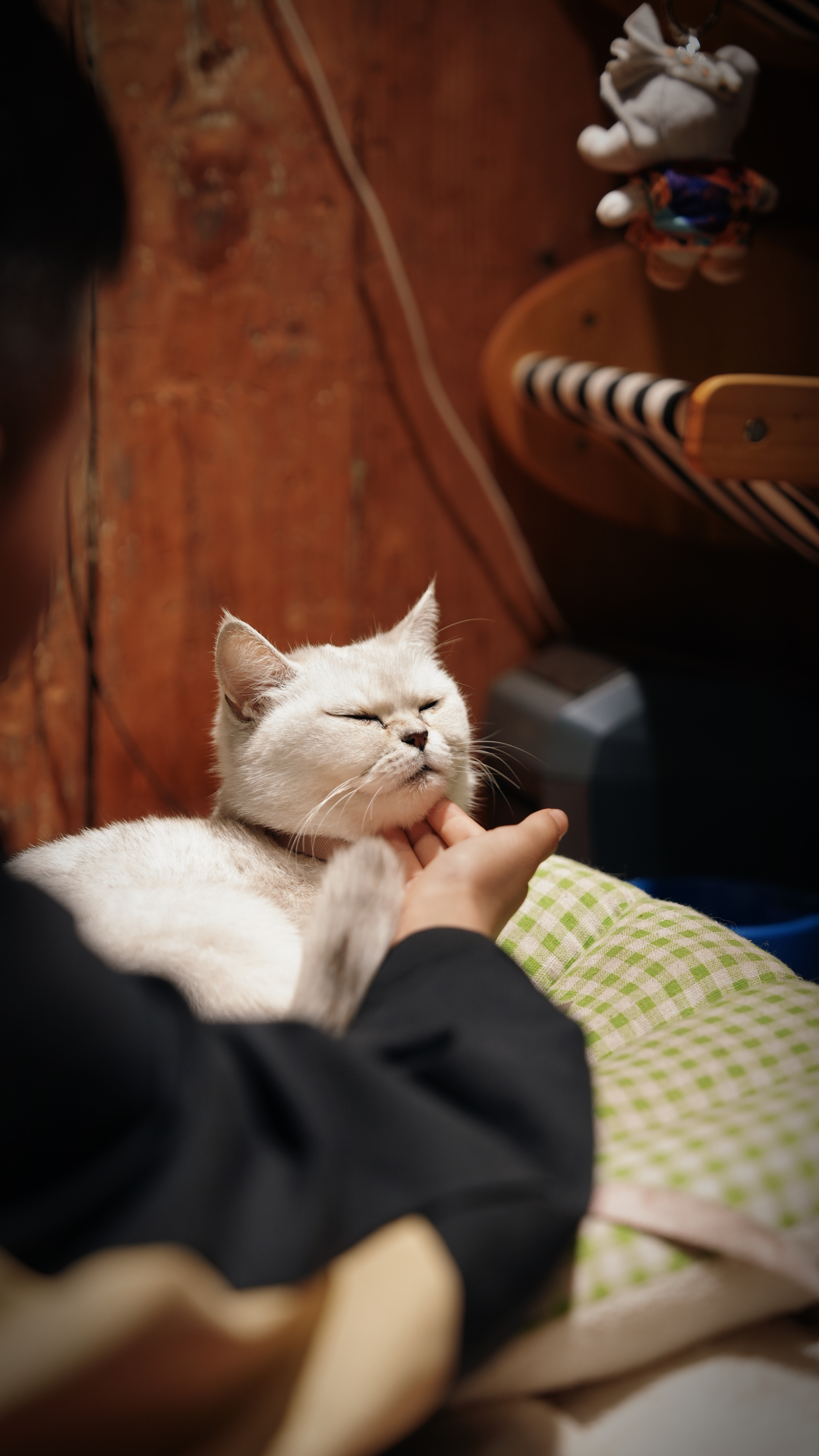 第一批回村的人已经出片了我没有回村，不过我深圳自驾到云南，从我家边上的高速上经过