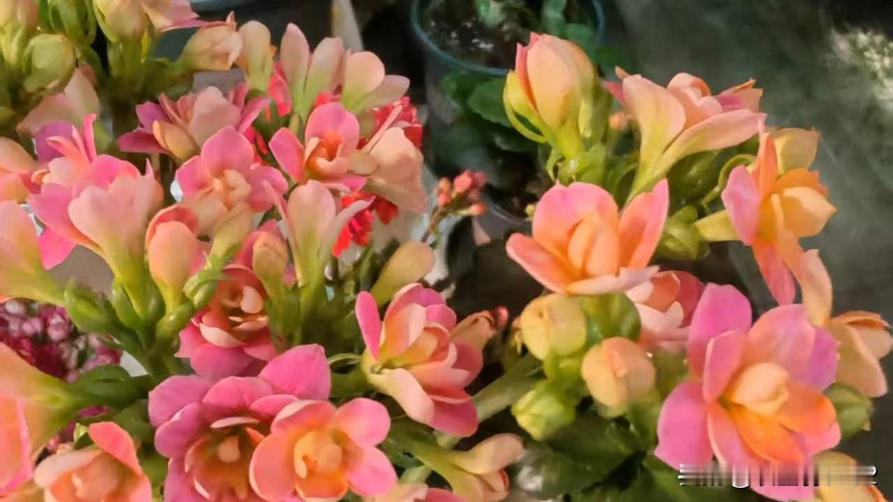单纯靠“不断运动”很难让高血糖彻底“恢复”（即完全摆脱高血糖状态或停药），它必须