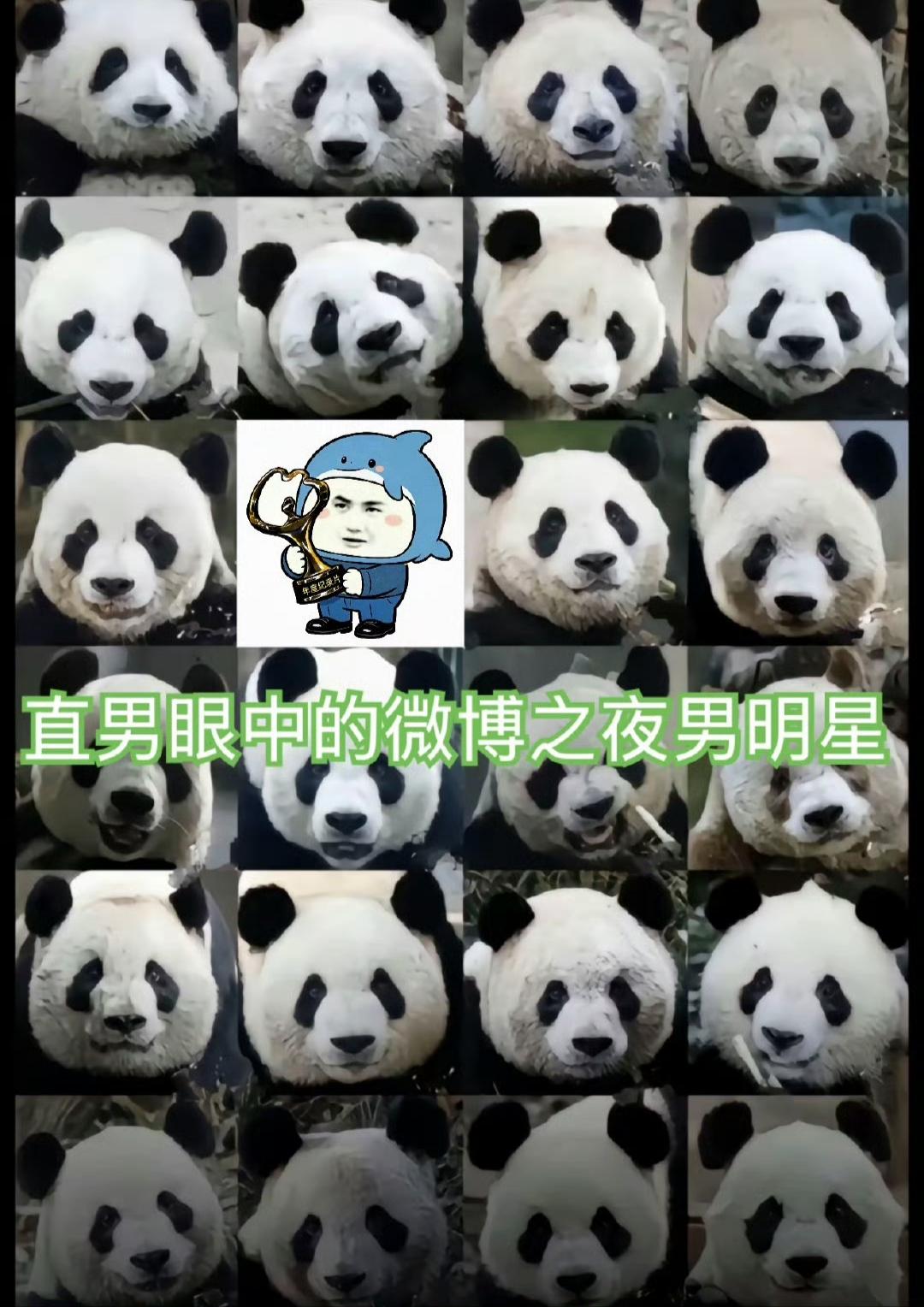 直男眼中的微博之夜男明星，刷到很多视频，几乎都是相同的反应——不同的老公不同的直