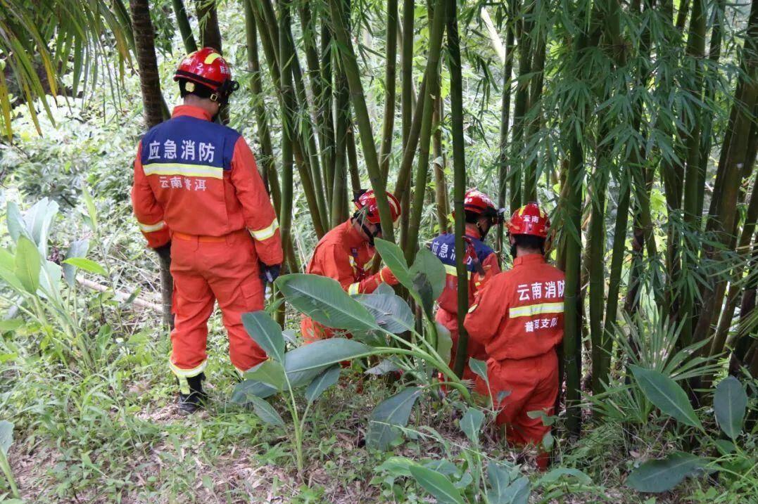 云南一村民在茶园发现眼镜王蛇后报警，结果发现竟是“一家38口”。2026年8