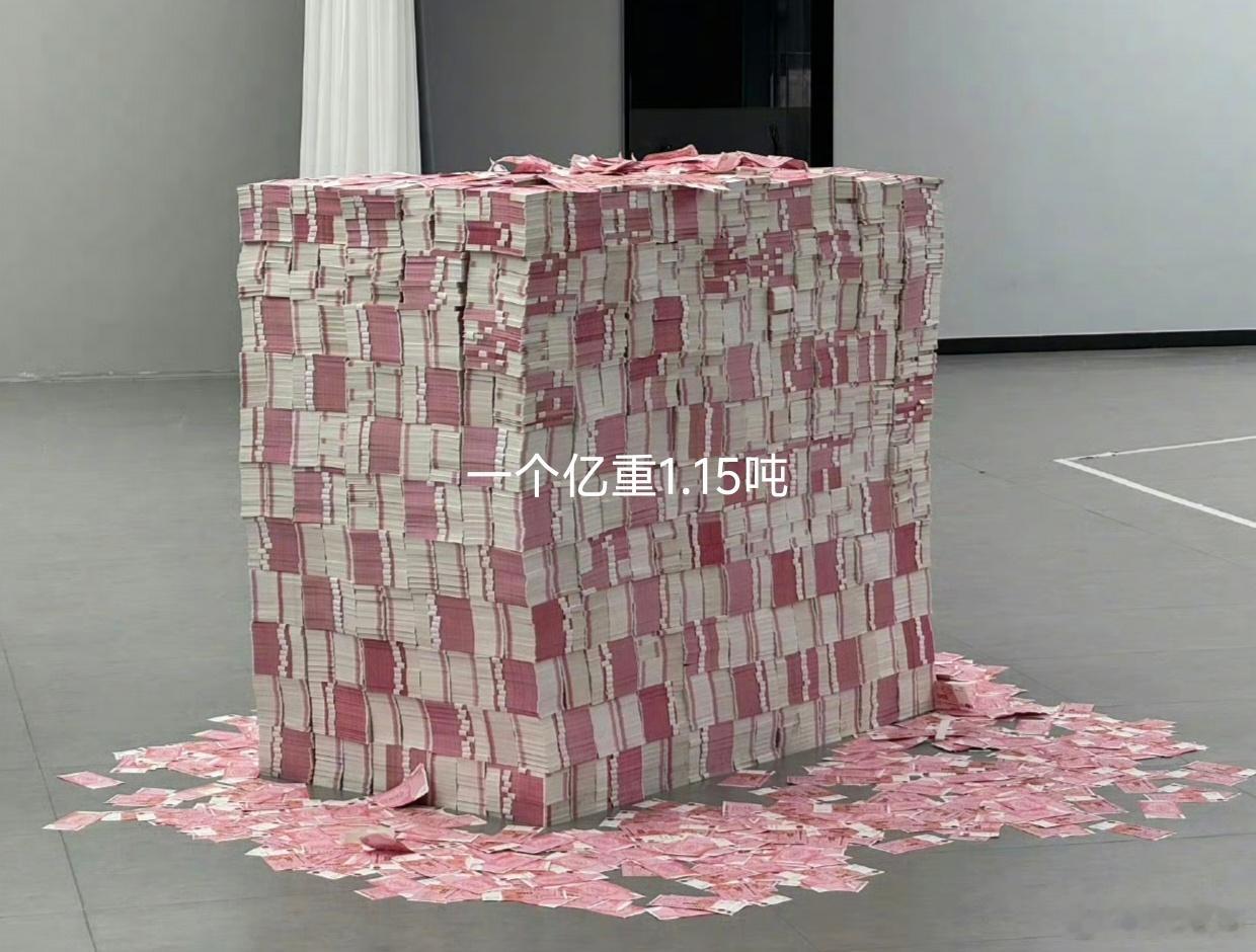 一个亿重达1.15吨，一个冰箱只能放5000万～～刷到财运到，别无视。​​​