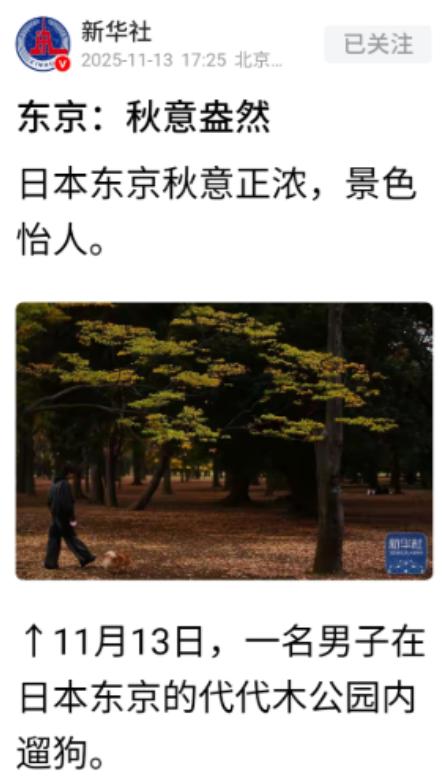 正当全国人民都在批斗日本首相高市早苗之时，新华社突然发了一组日本东京代代木公园的