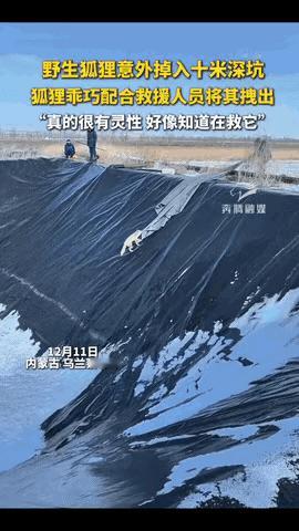 “科学解释不清！”内蒙古那场救援，简直太神奇了坑，‮深米01进掉狸狐生野只一