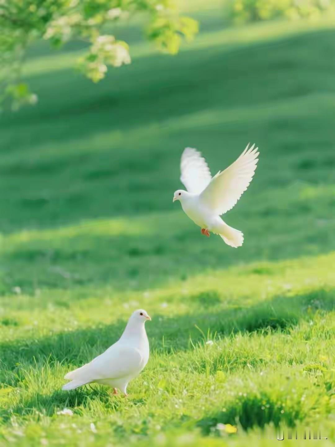 老了才明白：人生也只有4件事，忙完了也该散场了，每一个人的人生，归根结底，也只